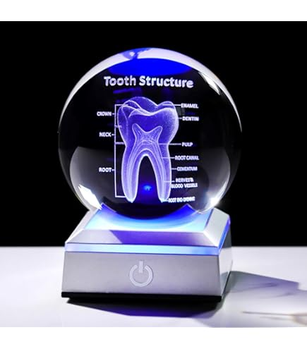 Blogs for dentists image